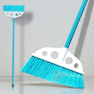 BRBRU061 - ITALIAN BROOM GEBI