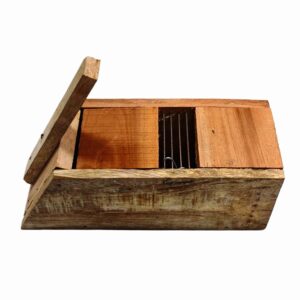 REP062 - RAT TRAP WOOD