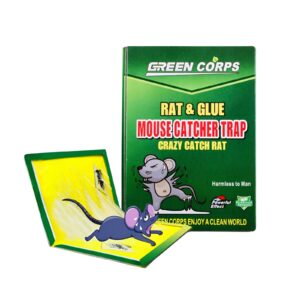 REP034 - RAT STICKER SMALL