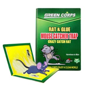 REP033 - RAT STICKER LARGE